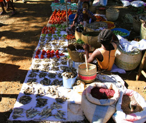 Mercato Madagascar